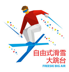 Winter Sports - Freeski Big Air Freestyle Skier