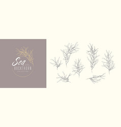 Sea Buckthorn Floral Logo And Branch Set Hand