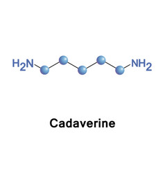 Cadaverine Toxic Diamine