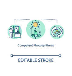 Competent Photosynthesis Concept Icon Light