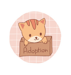 Kawaii Ginger Beige Cat In The Box Pet Adoption