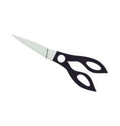 Steel Blade On White Background