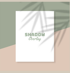 White Paper With Shadow Overlay Effect