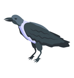 Fauna Crow Icon Isometric Raven Bird