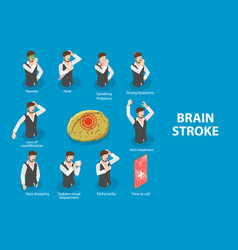 3d Isometric Flat Of Brain