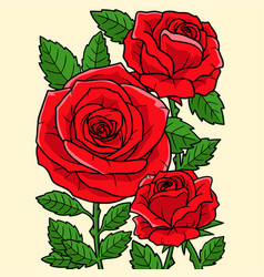 Rose Flower Colored Cartoon