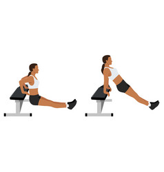 Woman Doing Bench Tricep Dips Exercise Flat