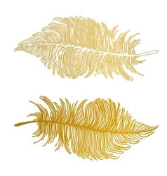 Feather Royalty Free Vector Image - VectorStock