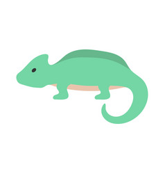 Chameleon Icon Design Template