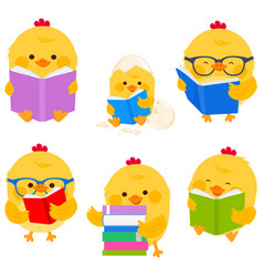 Cute Chicken Birds Reading Books