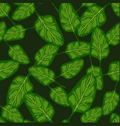 Seamless Pattern Spinach Salad On Dark Background