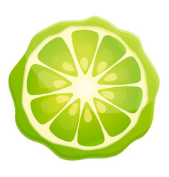 Bergamot Juice Slice Icon Cartoon Style