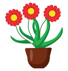 Red Flowers In Brown Pot On A White Background