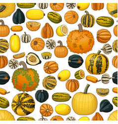 Seamless Pattern Winter Squash Clipart