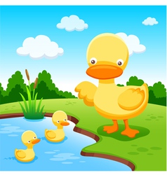 Cartoon Wallpaper with duck Royalty Free Vector Image