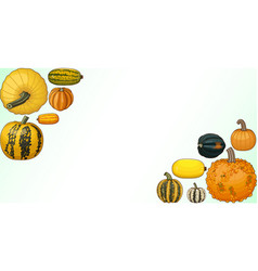 Rectangular Banner Winter Squash Clipart