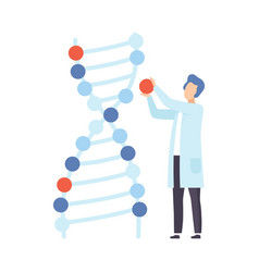 Male Scientist Next To A Chromosome Model