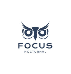 Nocturnal Owl Head Eyes Focus Hunt Night Modern