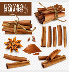 Cinnamon Star Anise Transparent Set