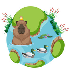 Capybara And Duck In Planet Earth