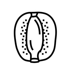 Cut Kiwi Fruit Fresh Line Icon