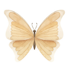 Watercolor Beige Butterfly On White Isolated