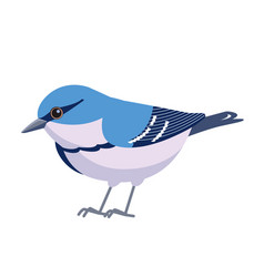 Cerulean Warbler Is A Small Songbird New