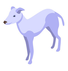 White Greyhound Icon Isometric Animal Pet