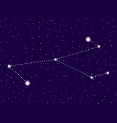 Monoceros Constellation Starry Night Sky