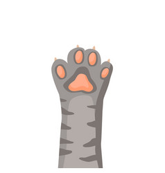 Cute Cat Paw With Grey Fur And Stripes Isolated