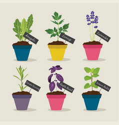 Herb Garden With Pots Of Herbs Set 4