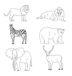 Set Of Animals Wild Predators And Herbivores