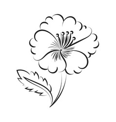 Flower Line Art For Print