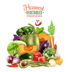 Harvest Of Vegetables