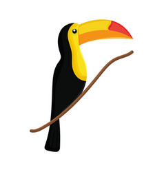 Toucan Bird Icon