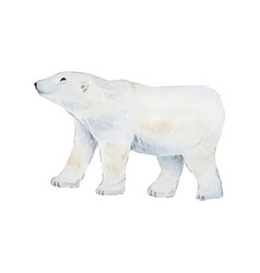 Watercolor Animals White Polar Bear