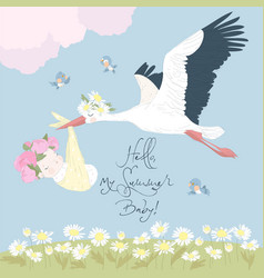 Stork Flying In The Sky With Baby Above The