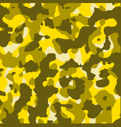 Pattern camo army soldier abstract Royalty Free Vector Image