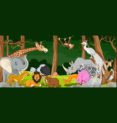 Animal Wildlife With Forest Background