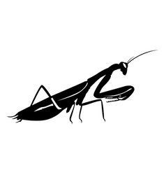 Praying Mantis Design Black Silhouette