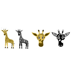 Set Of Giraffe Animal Isolated