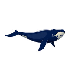 Cartoon Bowhead Whale Isolated Cute Character