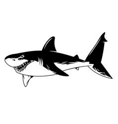 Danger Shark With Flames Royalty Free Vector Image