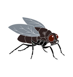 Fly Icon