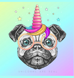 Handrawing Animal Dog With Unicorn Horn