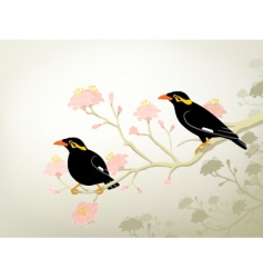 Myna Birds