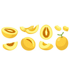 Set Of Yellow Cantaloupe Honeydew Or Mango Melons