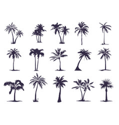 Set Palm Trees