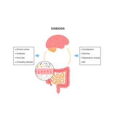 Gut Brain Connection