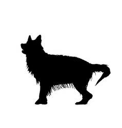 Long-haired German Shepherd Wet Dog Silhouette